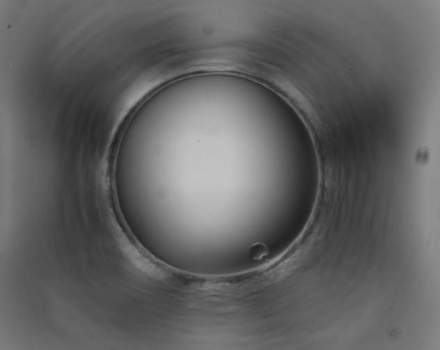 X0000091571466200708201134