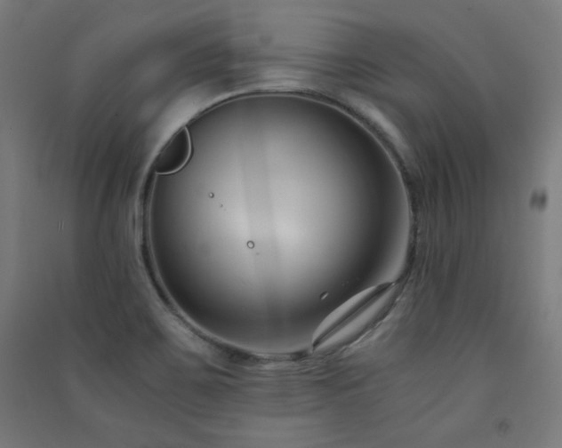 X0000091571467200708201134