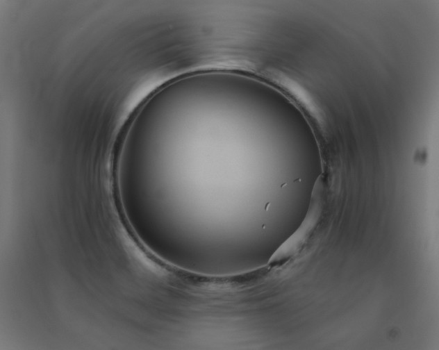 X0000091571468200708201134