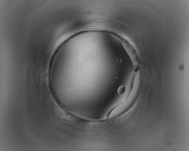 X0000091571469200708201134