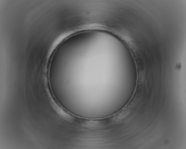 X0000091571470200708201134