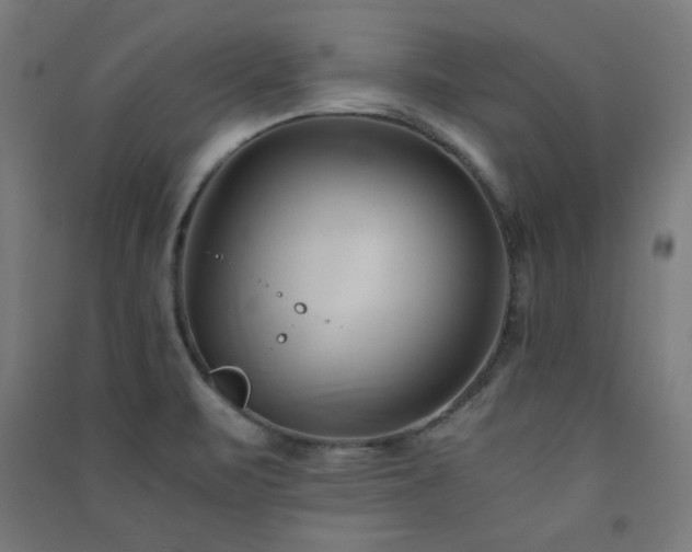 X0000091571471200708201134
