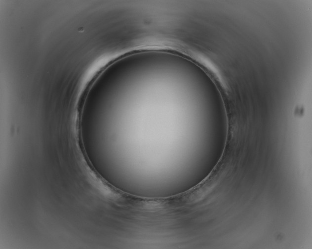 X0000091571472200708201134