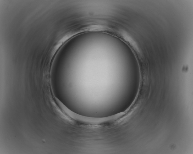 X0000091571473200708201134