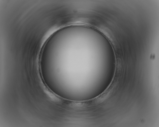 X0000091571474200708201134