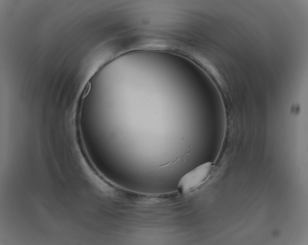 X0000091571475200708201134