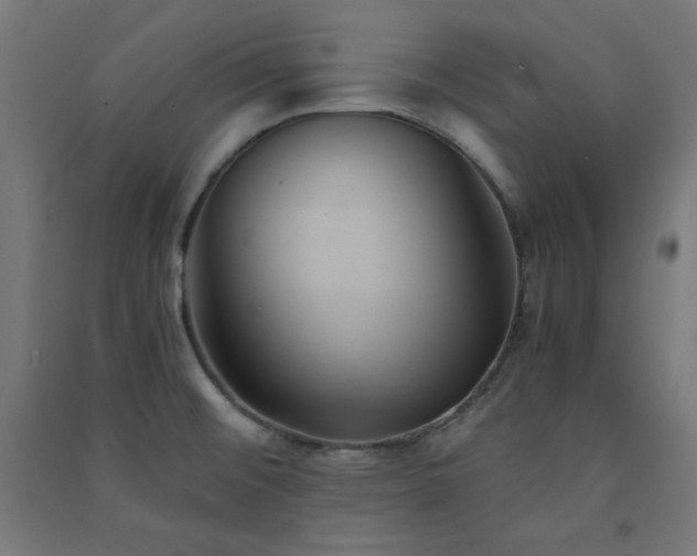 X0000091571476200708201134