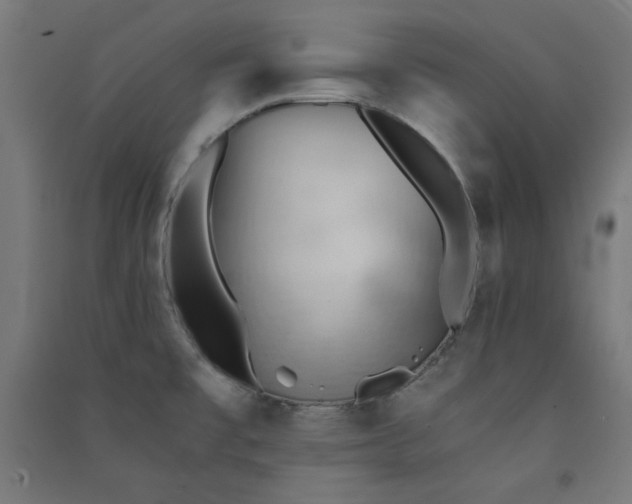 X0000091571477200708201134