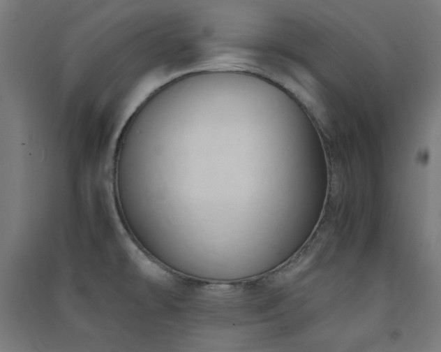 X0000091571478200708201134