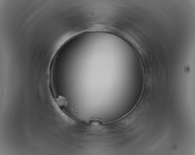 X0000091571479200708201134