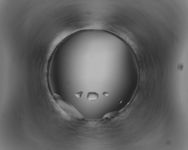 X0000091571480200708201134