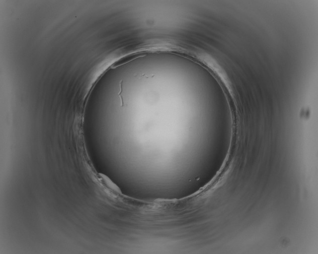 X0000091571481200708201134