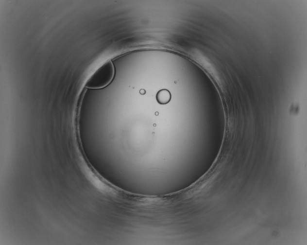 X0000091571482200708201134