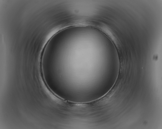 X0000091571483200708201134