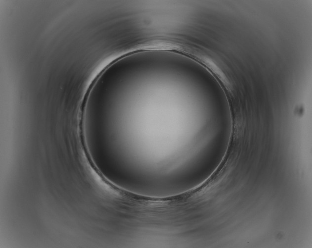 X0000091571484200708201134
