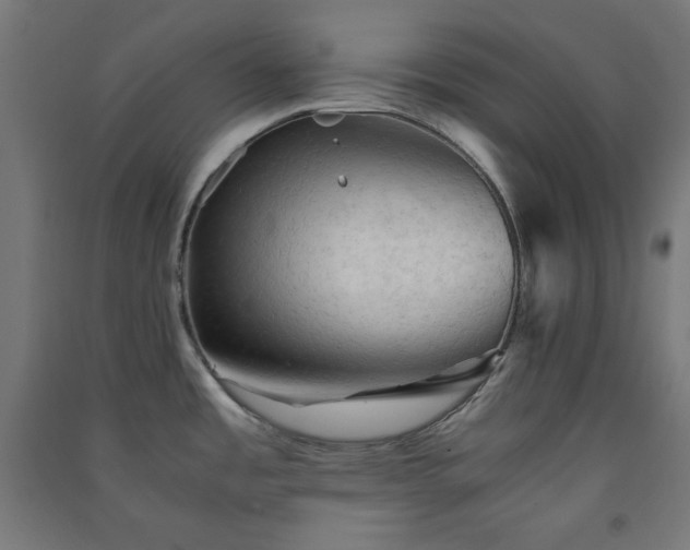 X0000091571485200708201134