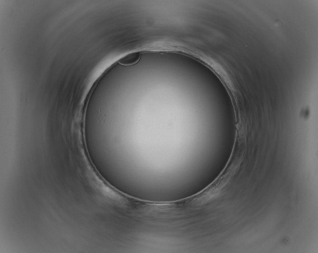 X0000091571486200708201134