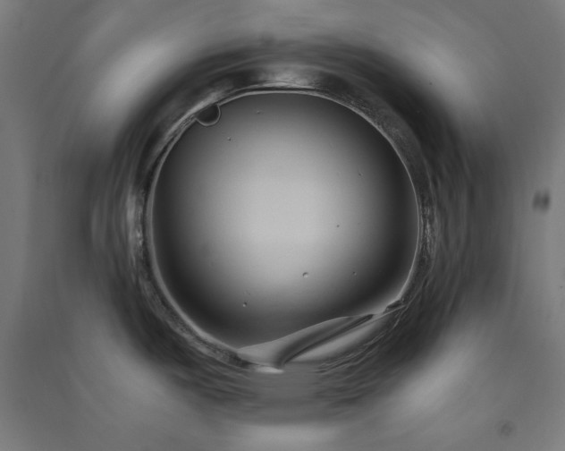 X0000091571487200708201134