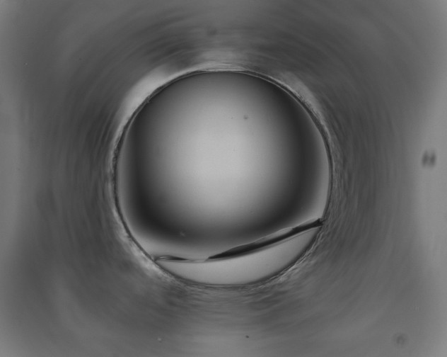 X0000091571488200708201134