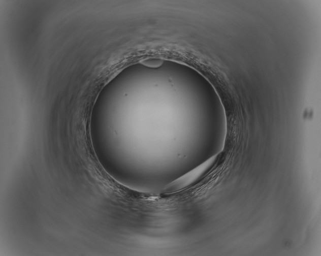 X0000091571489200708201133