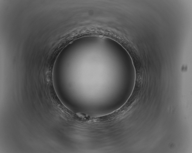 X0000091571490200708201133