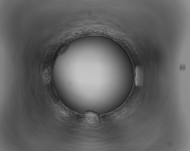X0000091571491200708201133