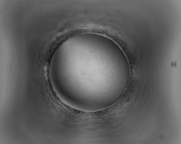 X0000091571493200708201133