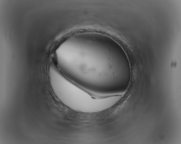 X0000091571494200708201133