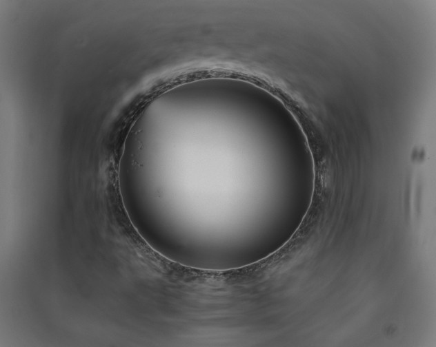 X0000091571495200708201133