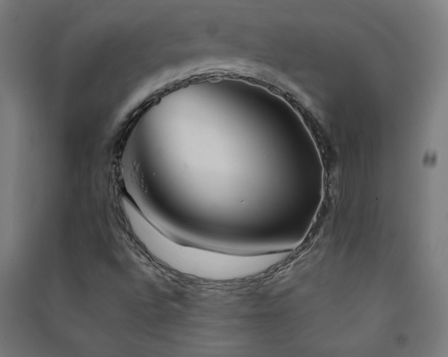 X0000091571496200708201133