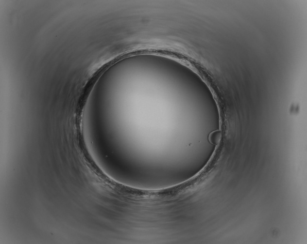 X0000091571497200708201133