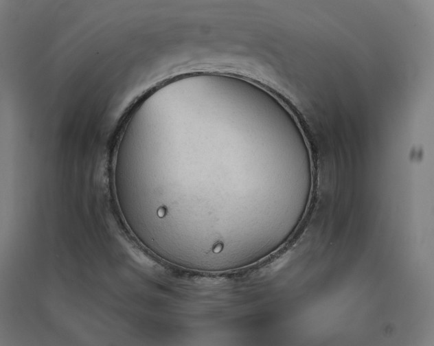 X0000091571498200708201133