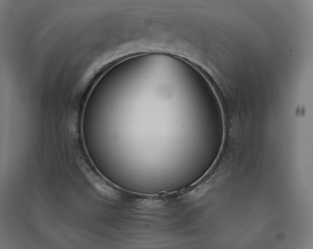 X0000091571499200708201133