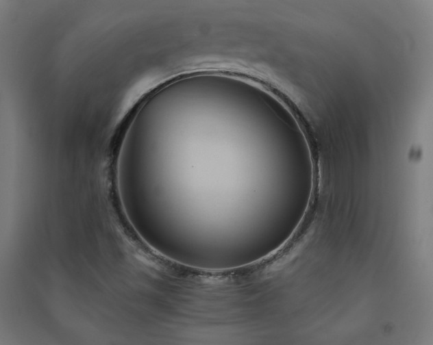 X0000091571501200708201133
