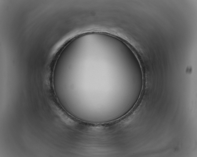 X0000091571502200708201133