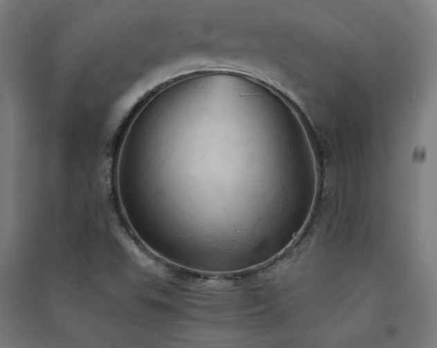 X0000091571503200708201133