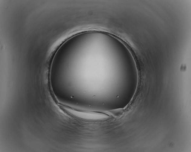 X0000091571504200708201133