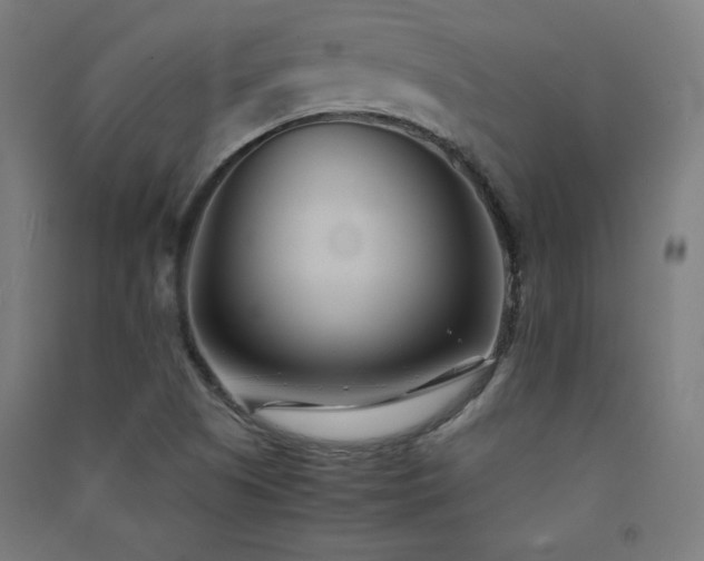 X0000091571505200708201133