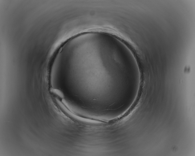 X0000091571506200708201133