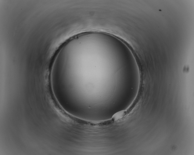 X0000091571507200708201133