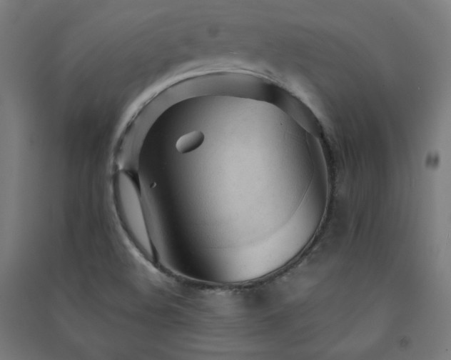 X0000091571508200708201133