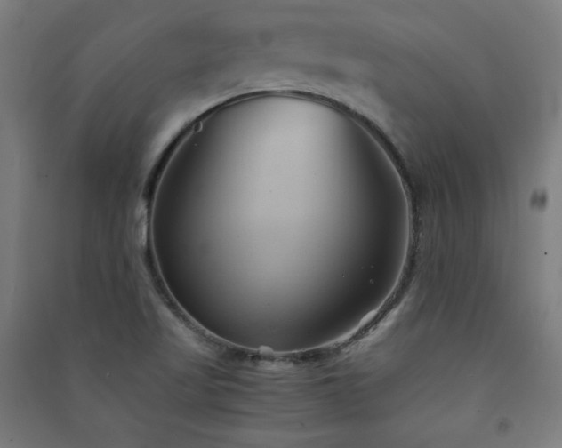 X0000091571509200708201133