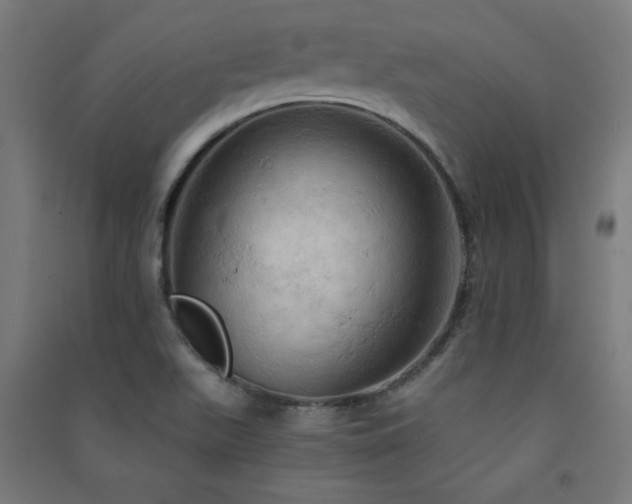 X0000091571511200708201133