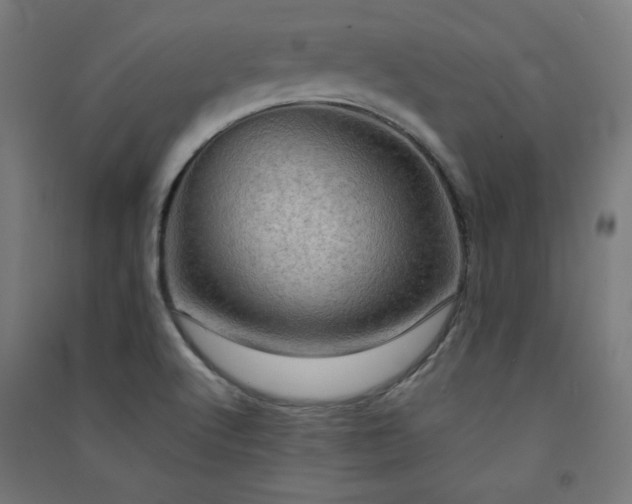 X0000091571512200708201133
