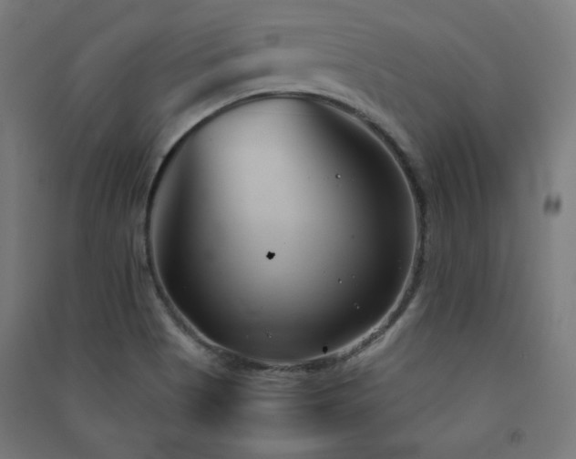 X0000091571513200708201133