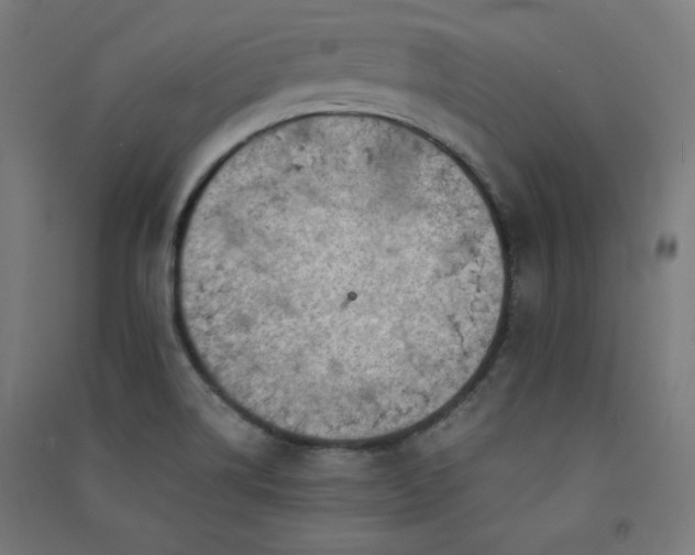 X0000091571514200708201133