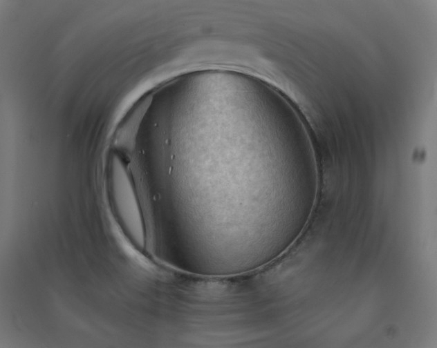 X0000091571515200708201133