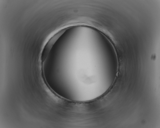 X0000091571516200708201133