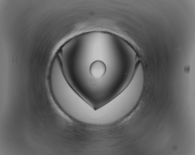 X0000091571518200708201133