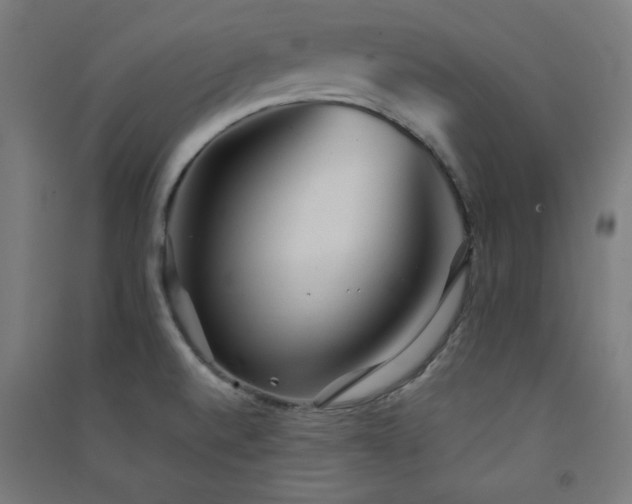 X0000091571520200708201133